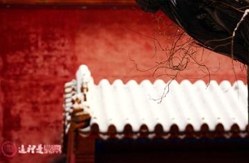 红与白1