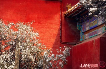 红与白4