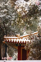犹抱琵琶半遮面