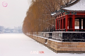 柳堤