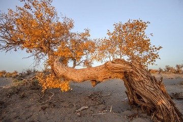 AL5X5608_