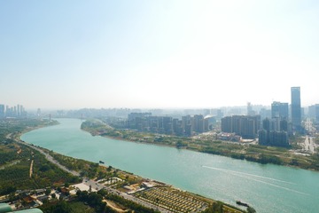 P1590347