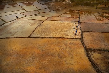 image%3A267951