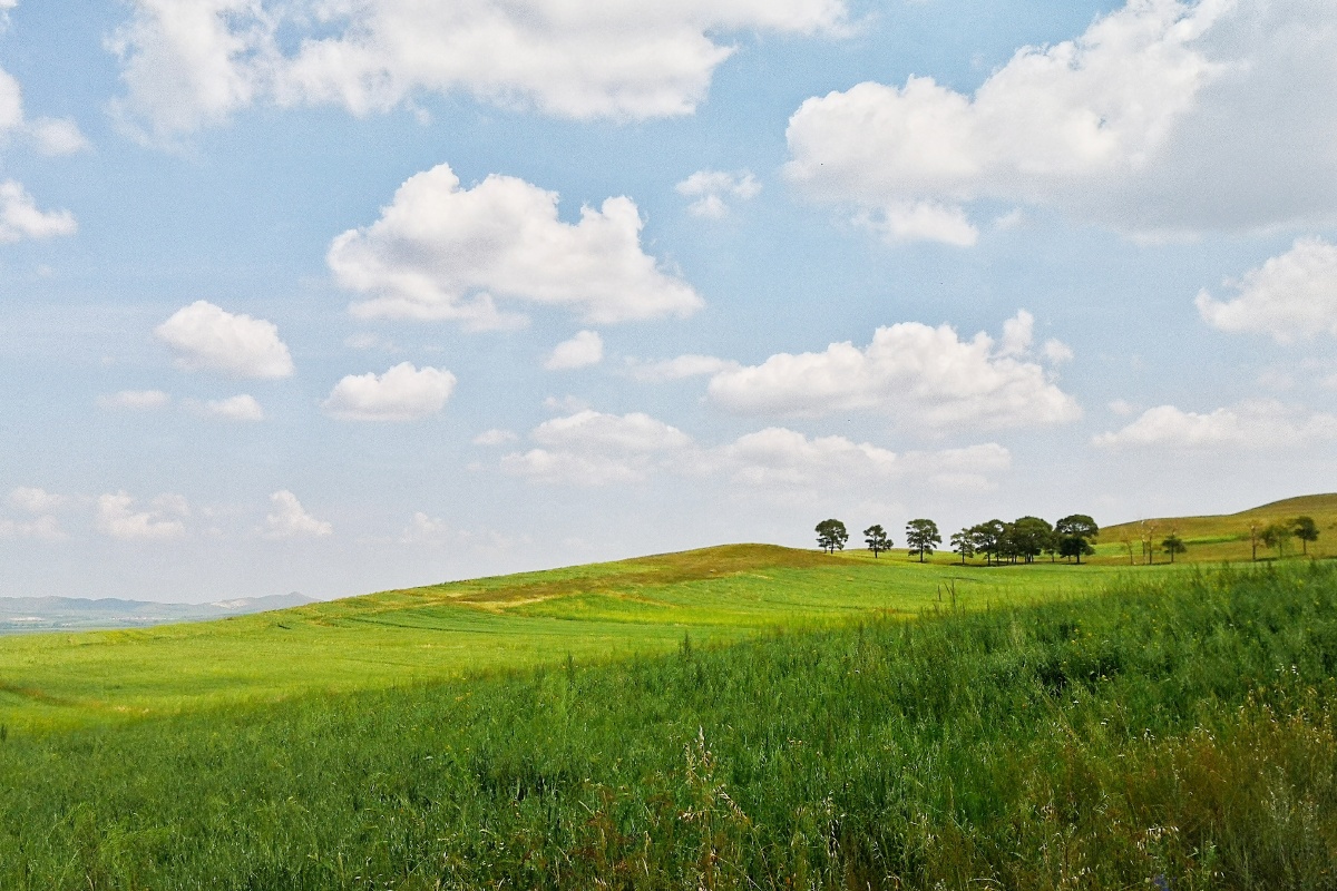 苍茫草原心灵归宿图片拍摄于内蒙古锡林郭勒盟的太仆寺旗游客不多风景