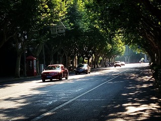 19653