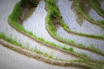 4020