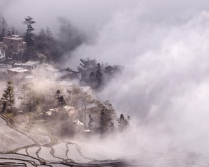 元阳多依树梯田7