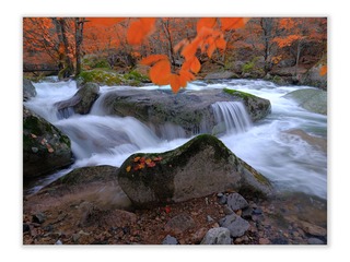 D0C563B2-BC76-4633-B652-51BFA451448C/L0/001