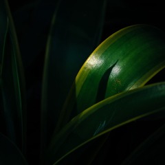 D5C97EA3-D7A8-450E-BD00-347C19EC667D/L0/001