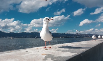 943855
