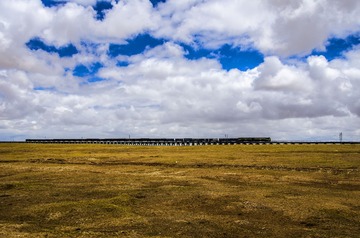 DSC_9902-1