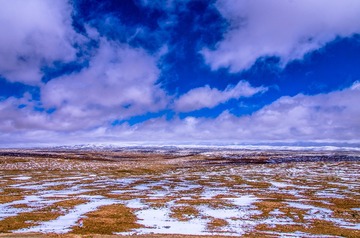 DSC_9862-1
