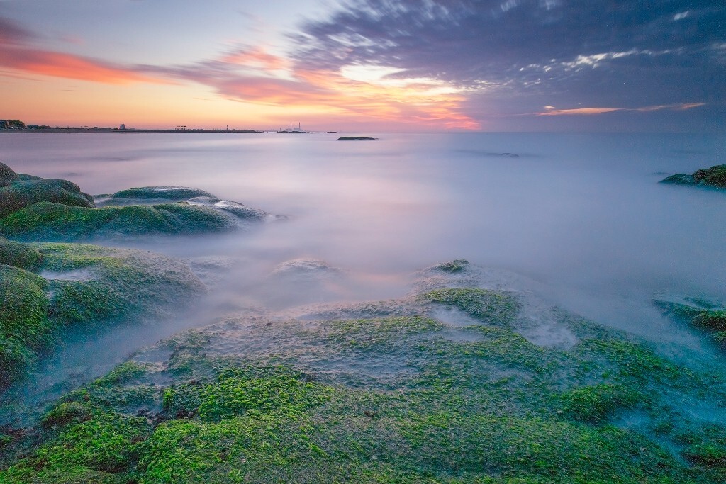 日出时分 金色的阳光打亮了礁石上的藻类 瞬间唤醒了整个画面