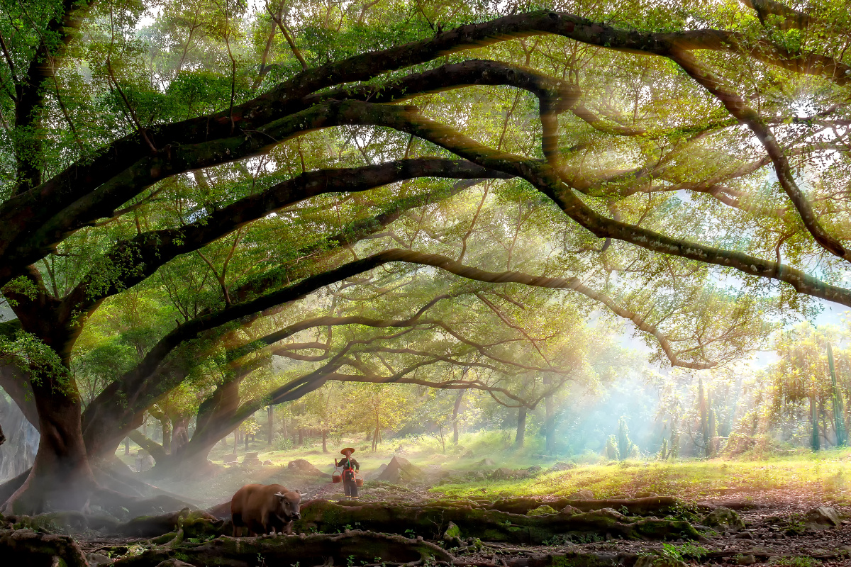 「榕树下」@蓝闲「刺破青天锷未残」@金尚镇aragorn「城市匆忙」@李白