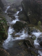 水