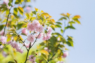 E52936C6-B4BD-42B0-9C83-B63BD8632D0A/L0/001