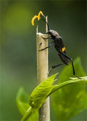 _DSC6517