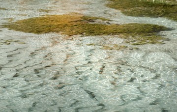 “DSC_7233”为智能对象-1