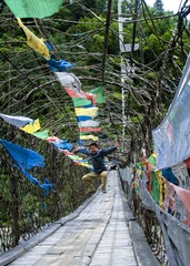 “DSC_5583”为智能对象-1