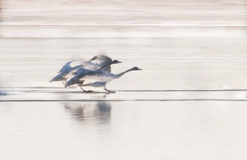 DSC_0051 TTTa