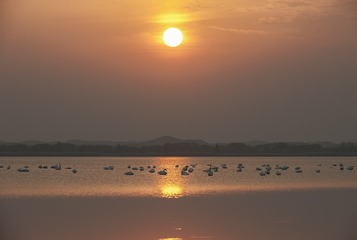 DSC_8555.jpg a