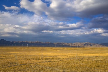 CF008819.jpg 2.jpg a