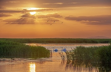 DSC_0502 T.tif a