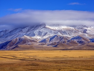 CF008929.jpg a