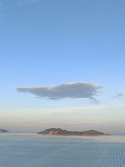 1000041084
