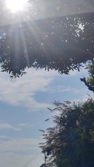 1000055391
