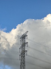 1000055957