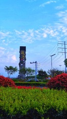 3643216