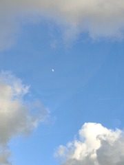 1000055958