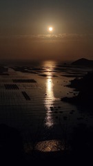 1000062847