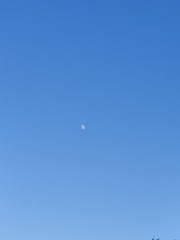 1000057470