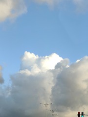 1000055964