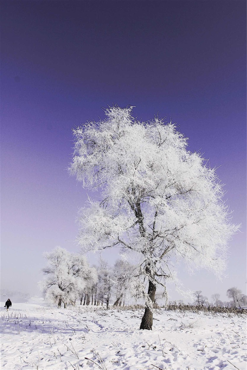 海拉尔多雪的冬天