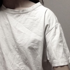 1251519