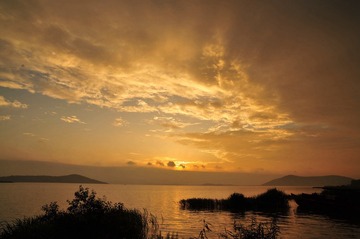 DSC_8460_