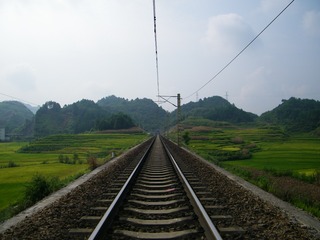 223598
