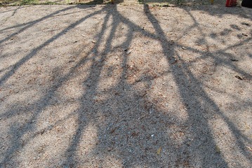 5D97E28C-C63C-4F49-BA47-D1D01BFDDFDB/L0/001