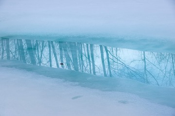 115-春水流