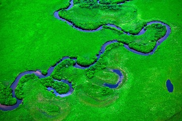483X2929_1