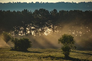 _01A2726