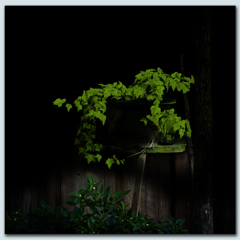 艺术人租下的老宅门