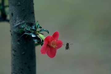 1406345