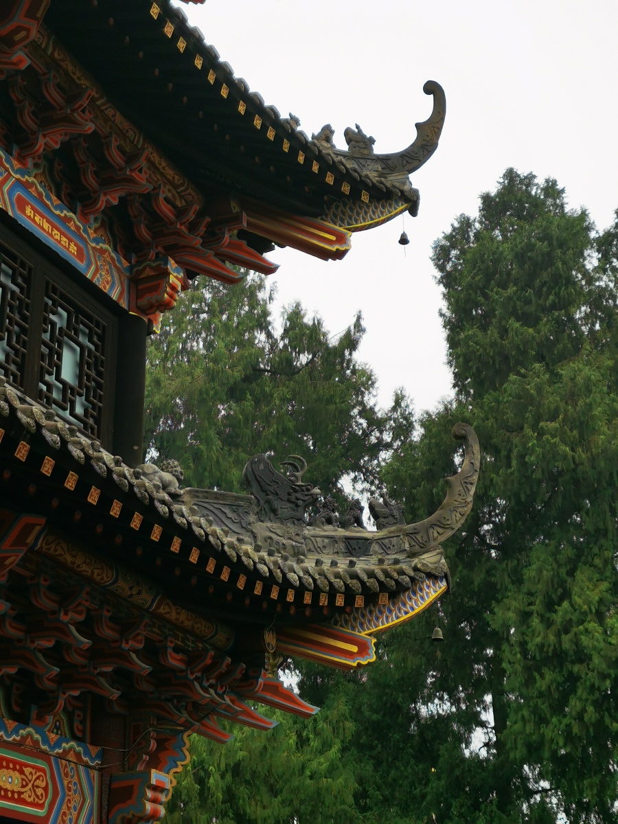 四川成都龙泉驿石经寺古建筑与古树