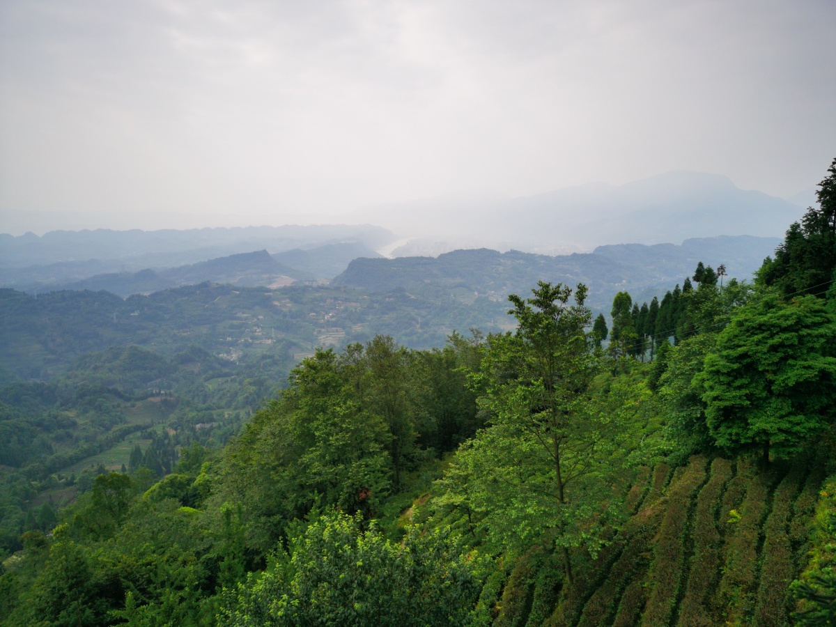 雅安蒙顶山脚下的雨蒙观景台