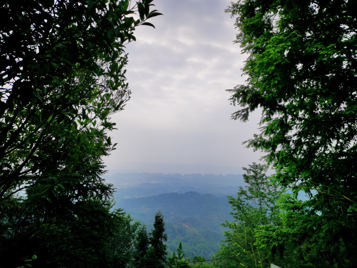雅安蒙顶山脚下的雨蒙观景台