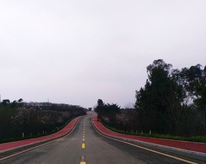 2737468